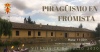 JORNADA DE PIRAGÜISMO EN EL CANAL