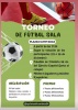 TORNEO 3X3 FÚTBOL RÁPIDO